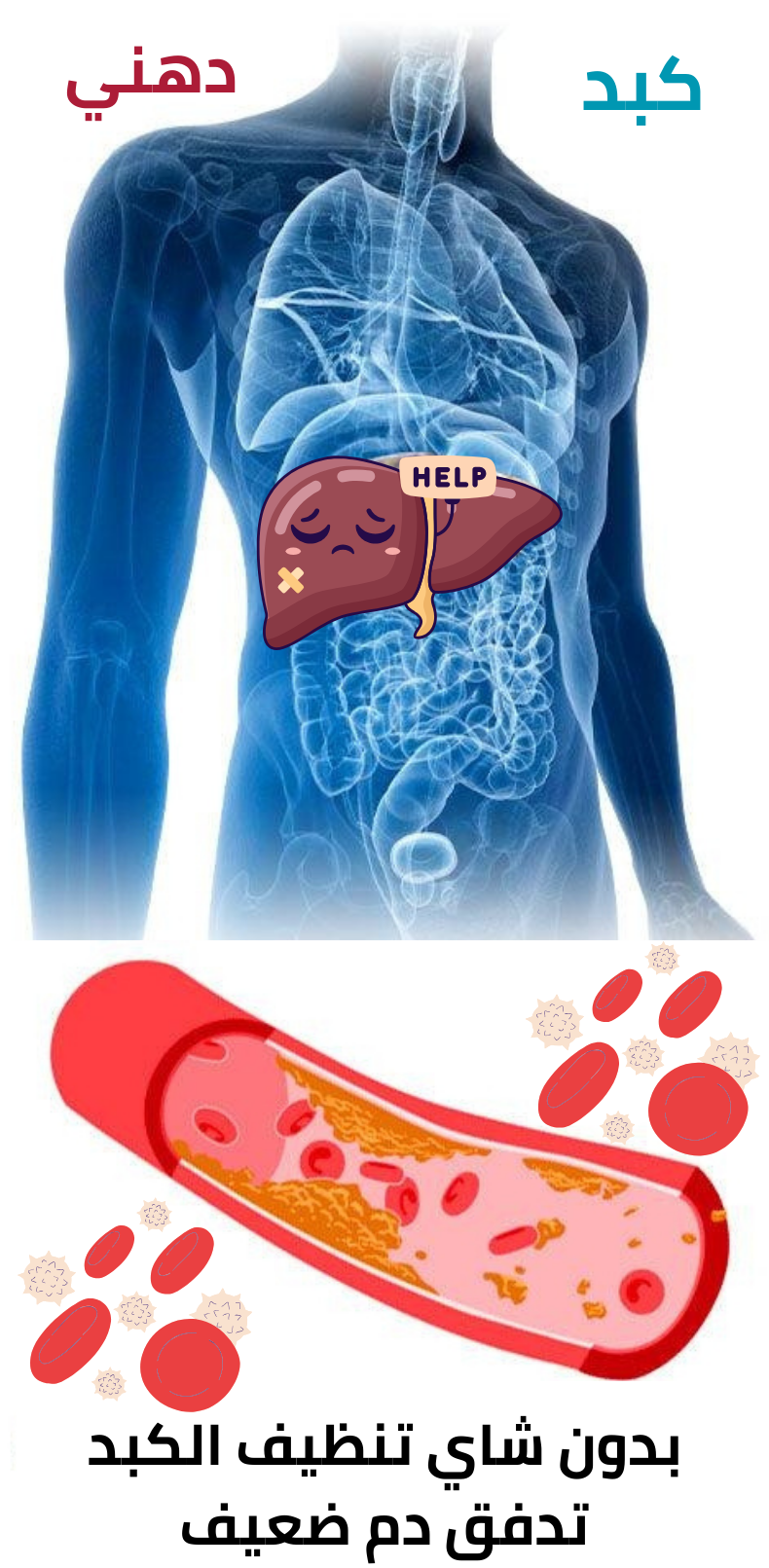 8Uha6ZPPvse9cbAXhxgKV0iKB2X8Z077SKBTAMuB.png