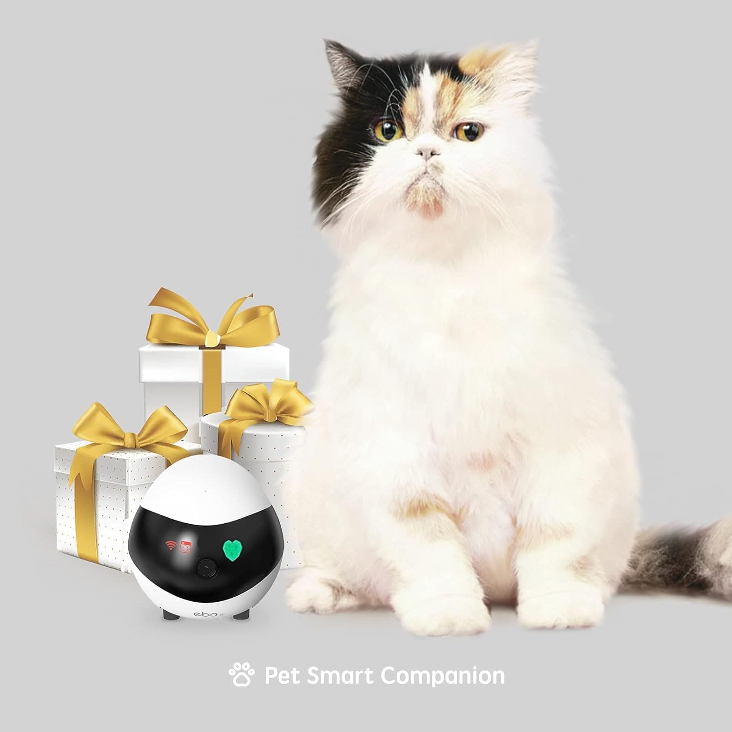 Enabot EBO SE FamilyBot روبوت الكاميرا المنزلية Enabot EBO SE FamilyBot روبوت الكاميرا المنزلية